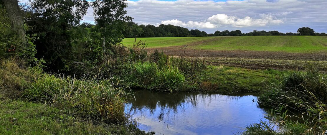 beautiful landscape with green fields, trees and a pond