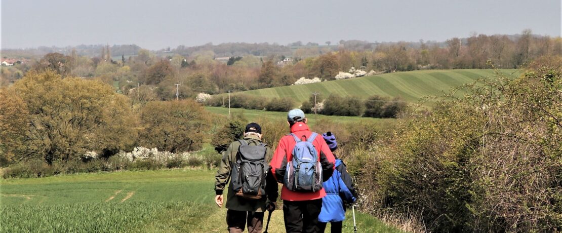 walkers in a lovely green landscape