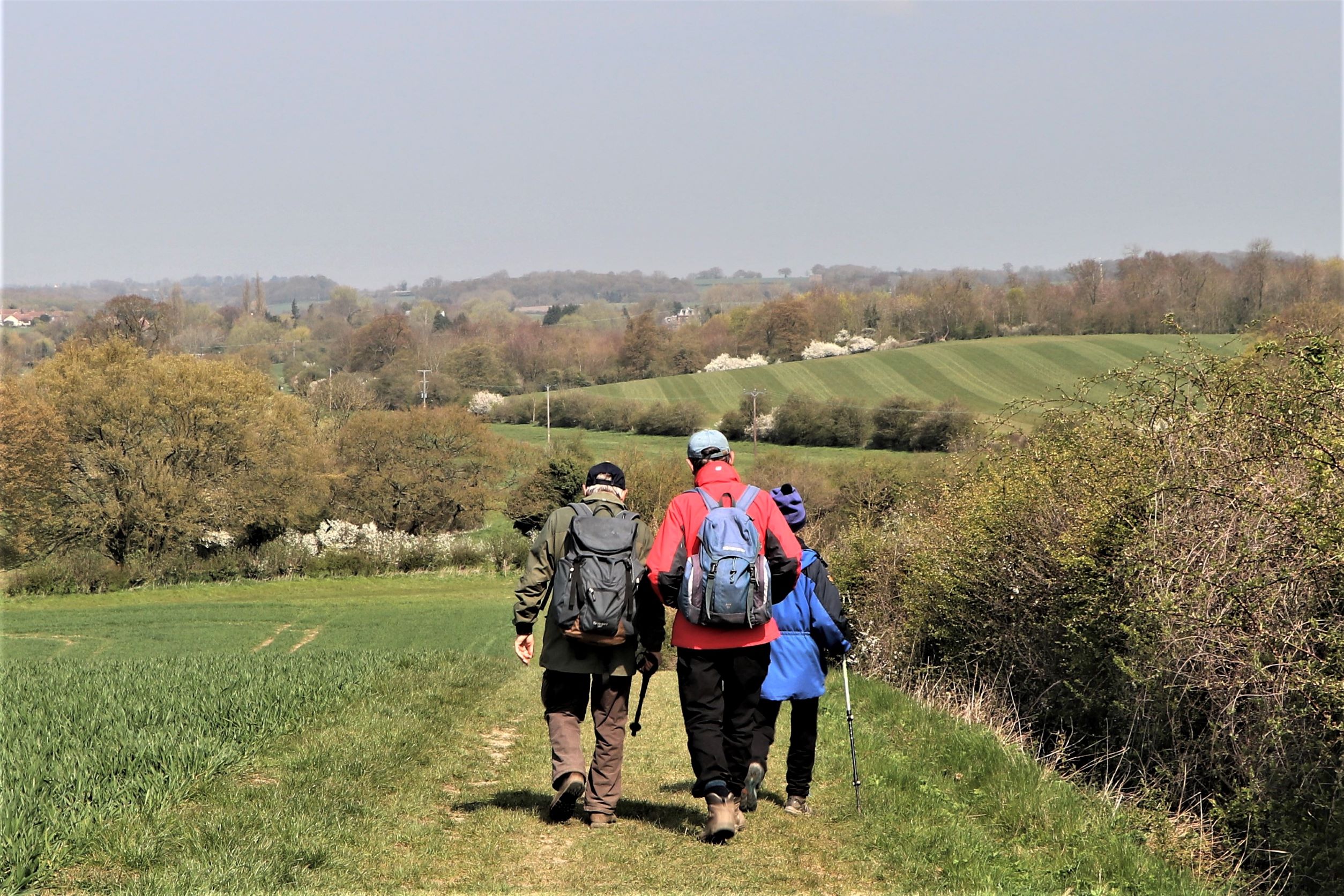 walkers in a lovely green landscape