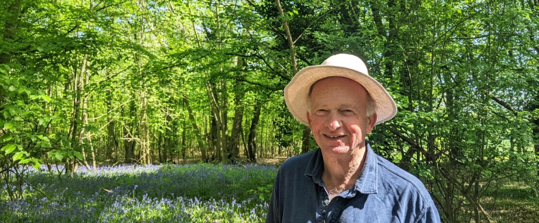 man standing in a wooded glade with bluebells