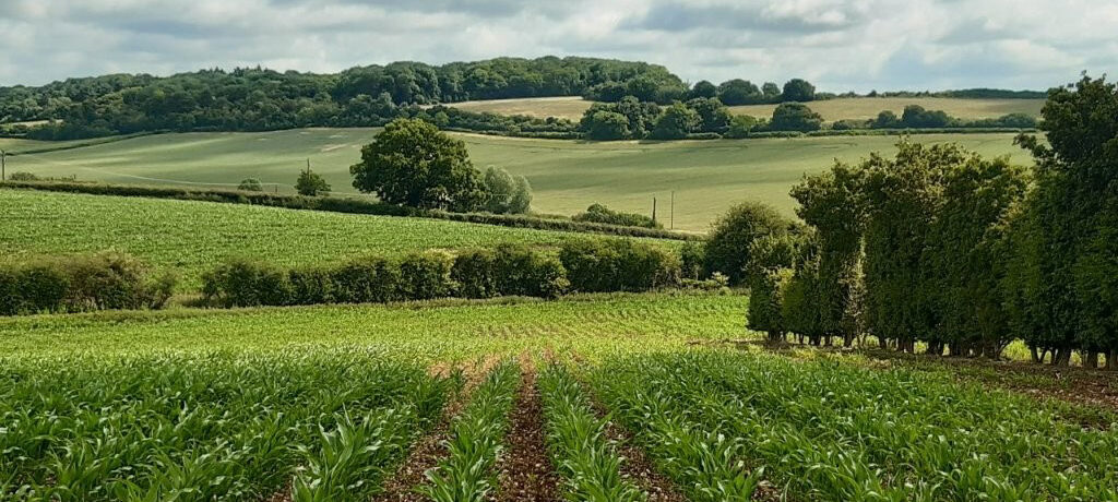 fabulous long distance view over farmland, hedgerows and tree belts