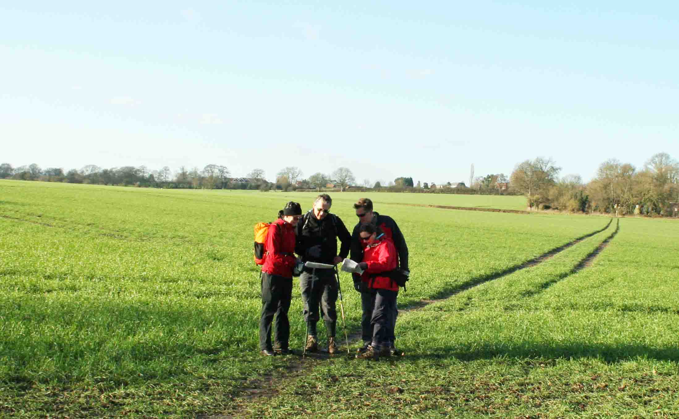 four walkers pausing on a track, looking at their map