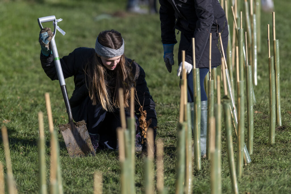 two young women planting a hedge