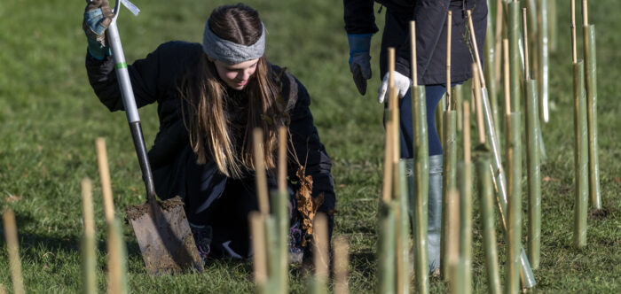 two young women planting a hedge