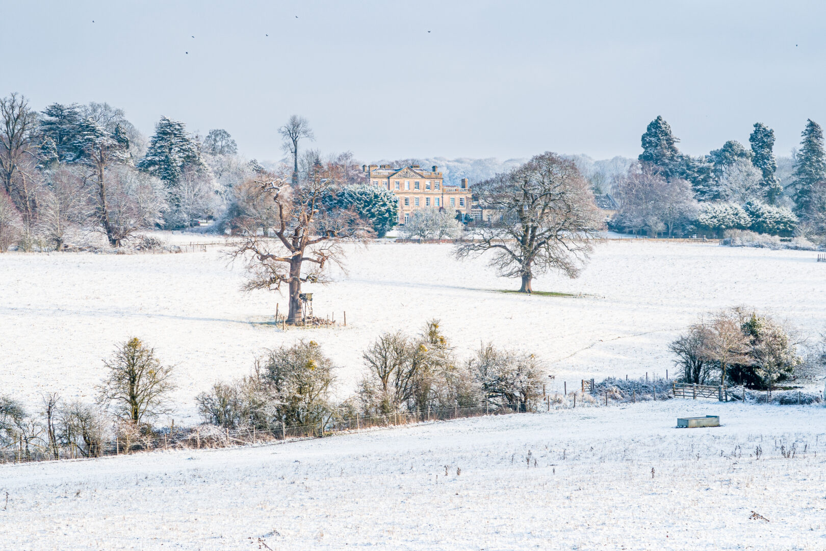 pretty image of snowy fields and trees with historic house in the distance
