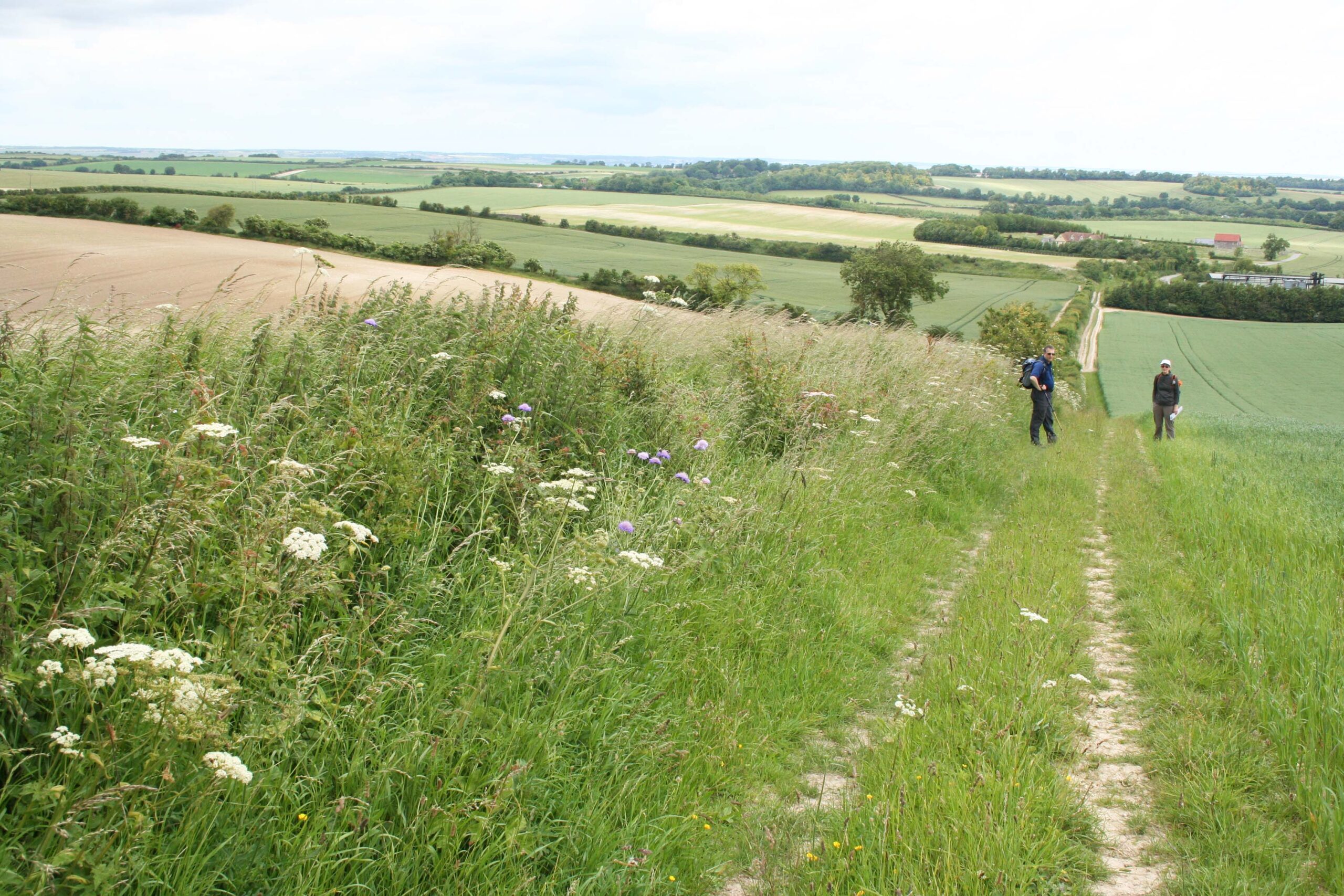 two walkers alongside a hedgerow, with other hedgerows visible across several distant fields