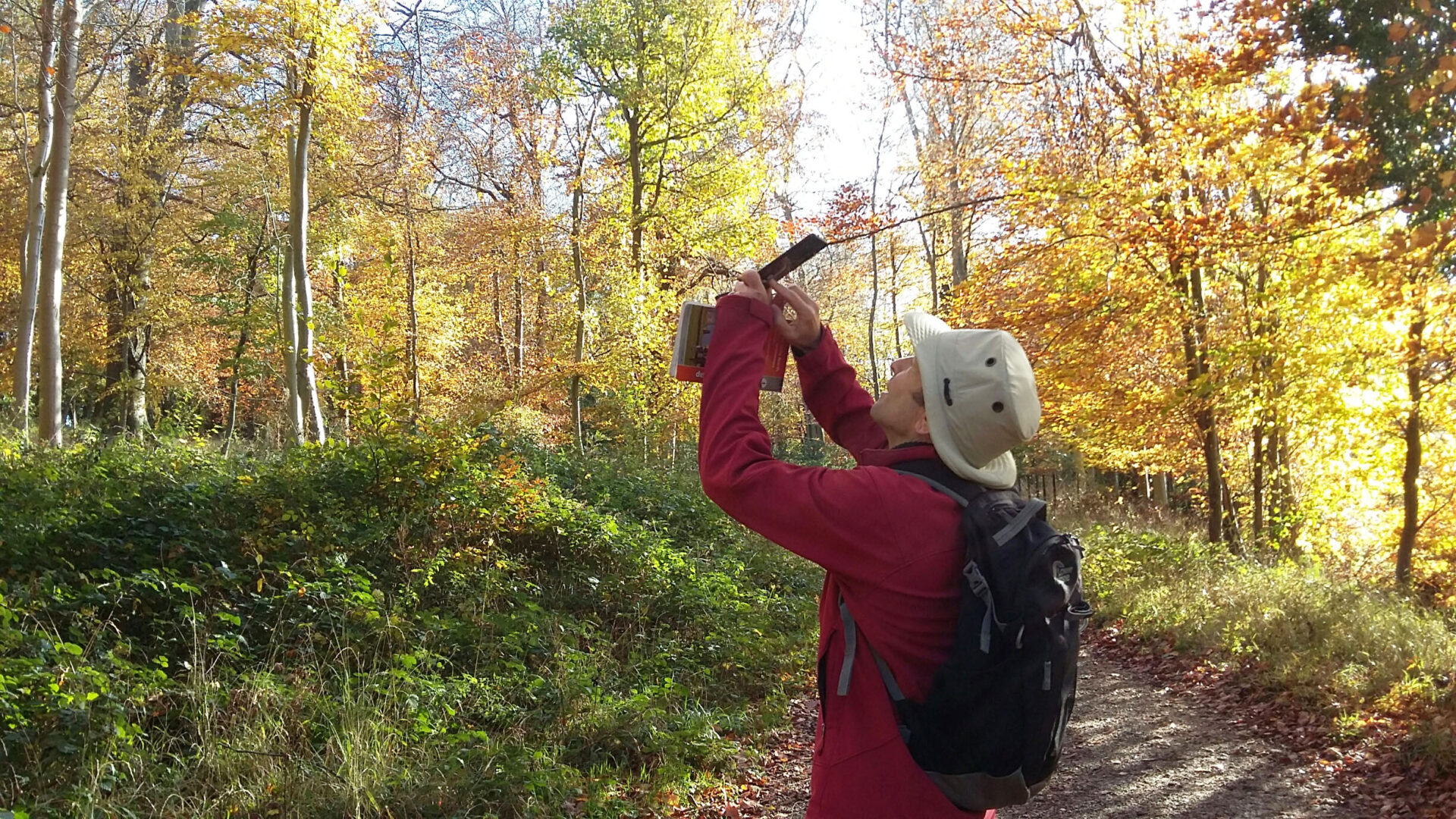 walker taking photo of beautiful autumn foliage