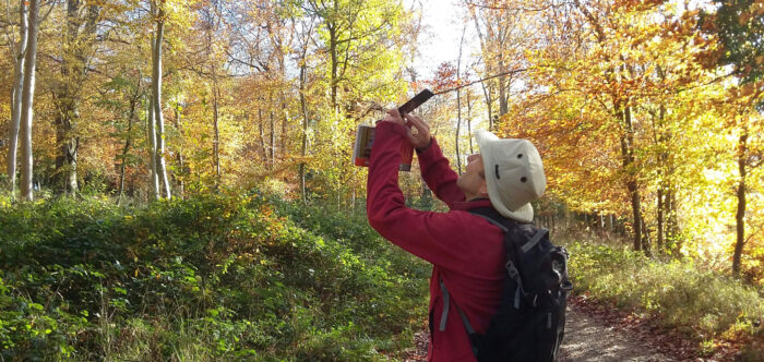 walker taking photo of beautiful autumn foliage
