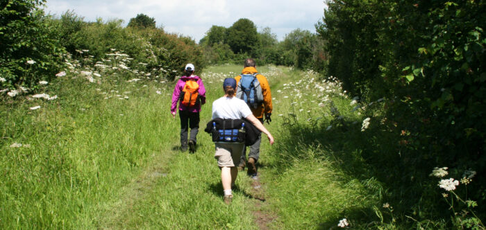 three people walking in a green landscape