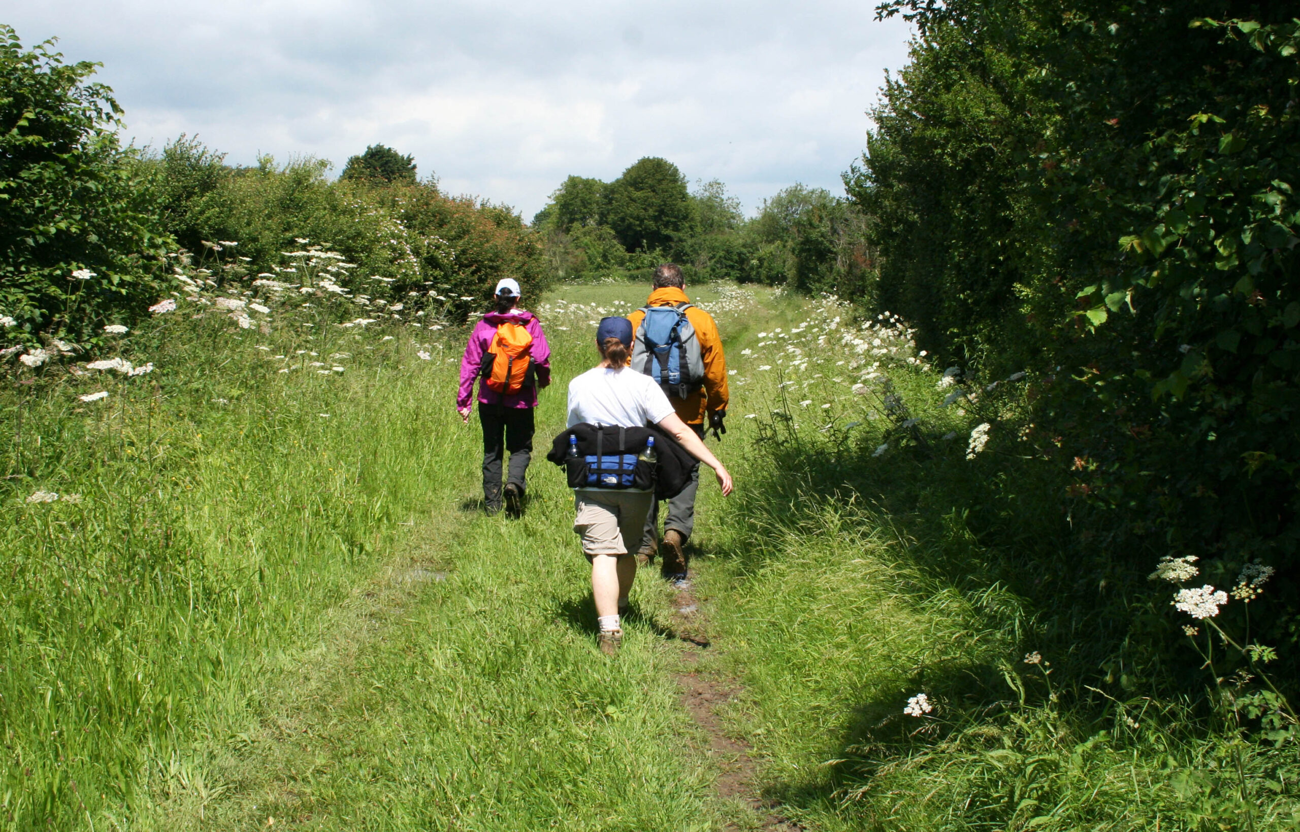 Our 'Walk 100 Miles' challenge - CPRE Hertfordshire