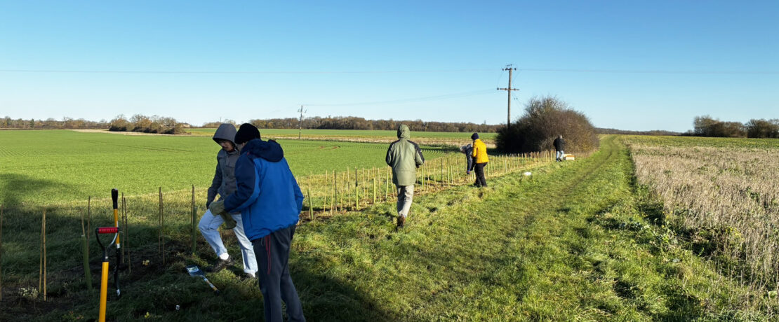 volunteers planting a new hedgerow