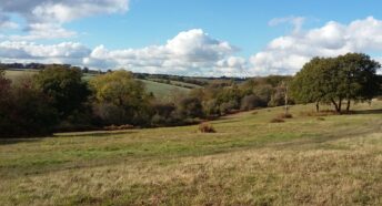 beautiful rural landscape with grasslands, trees and rolling hills
