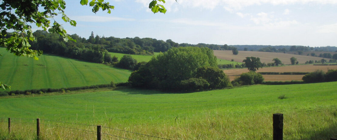 beautiful countryside with green fields and wooded hills