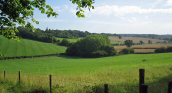beautiful countryside with green fields and wooded hills