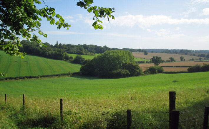beautiful countryside with green fields and wooded hills