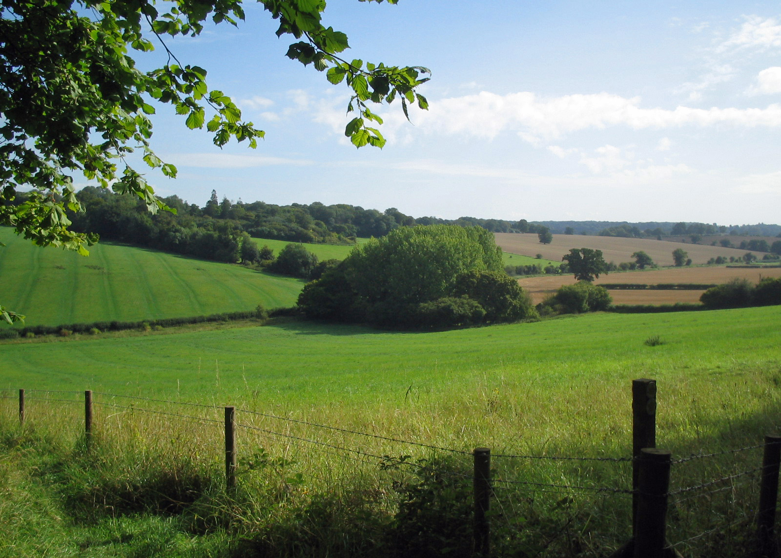beautiful countryside with green fields and wooded hills