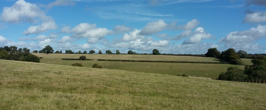 green grassy fields and undulating hills on a sunny day