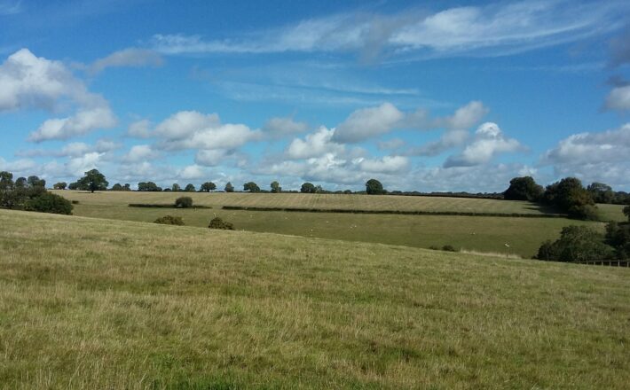 green grassy fields and undulating hills on a sunny day