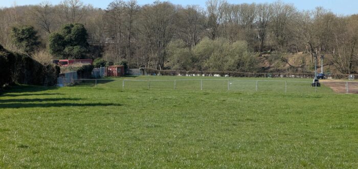 a green grassy field in early springtime