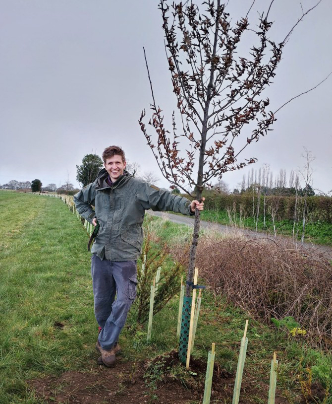 man standing by newly planted hedgerow, holding a small tree