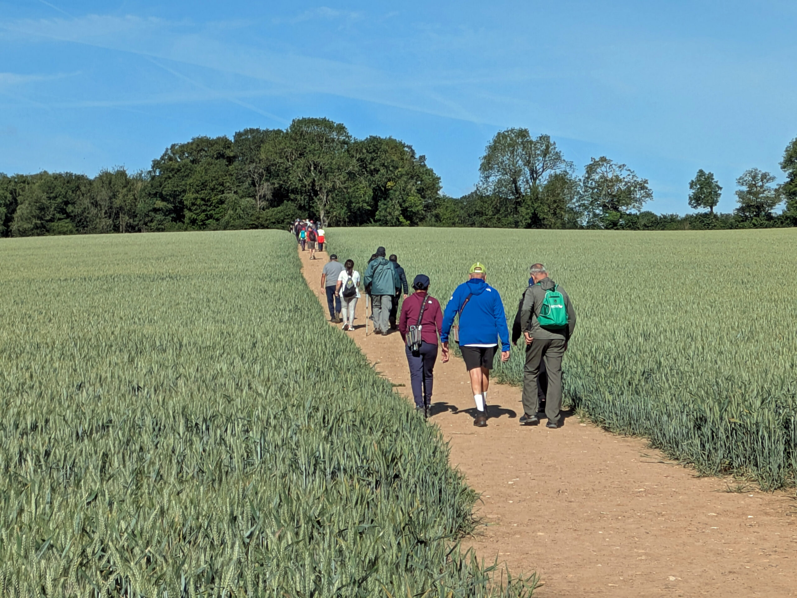 walkers on a footpath through a field, heading towards woodland