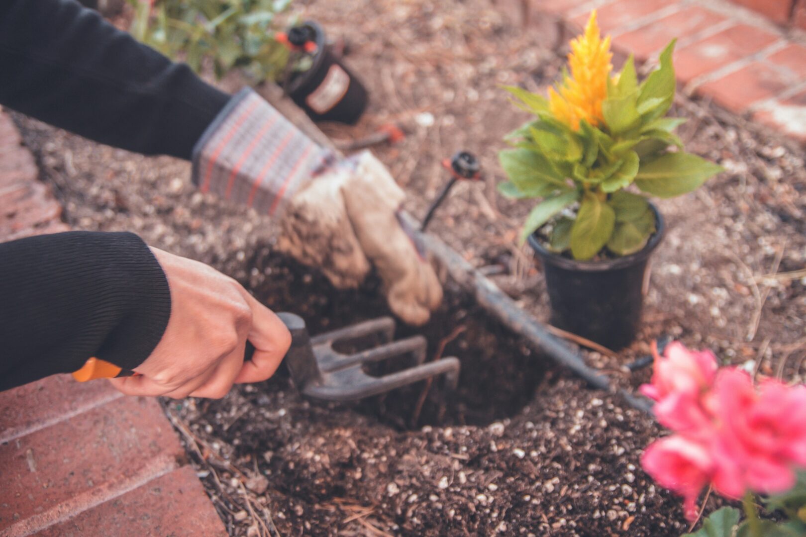 a gardener at work