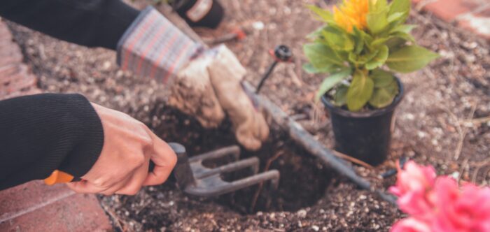 a gardener at work