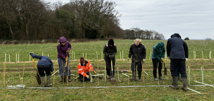 hedgerow planting volunteers digging a new hedge line
