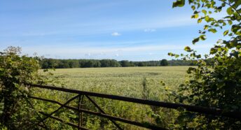 beautiful lush green countryside, fields and woodlands