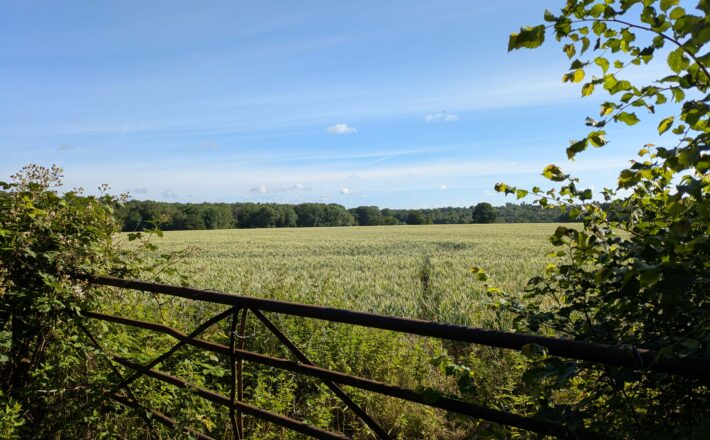 beautiful lush green countryside, fields and woodlands