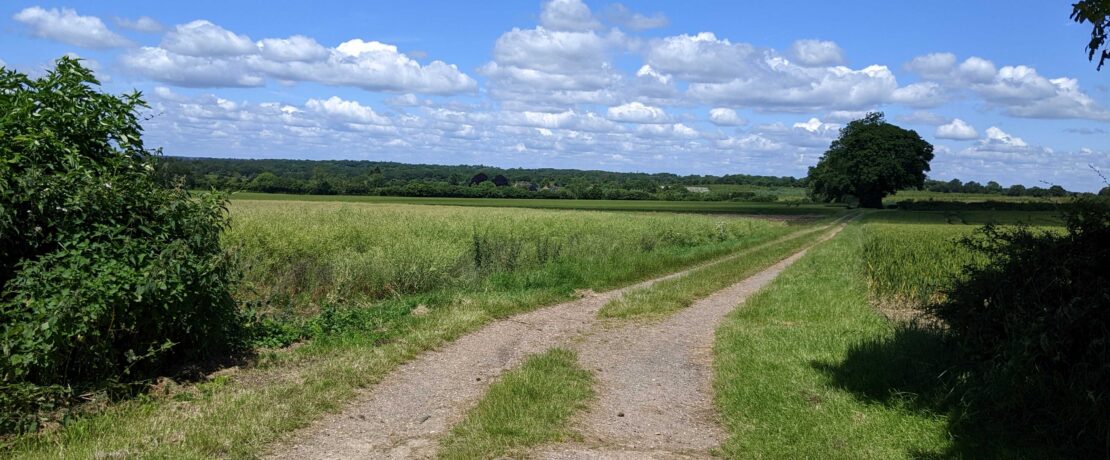 attractive countryside with long views, trees and a blue sky