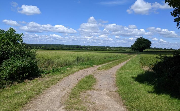 attractive countryside with long views, trees and a blue sky