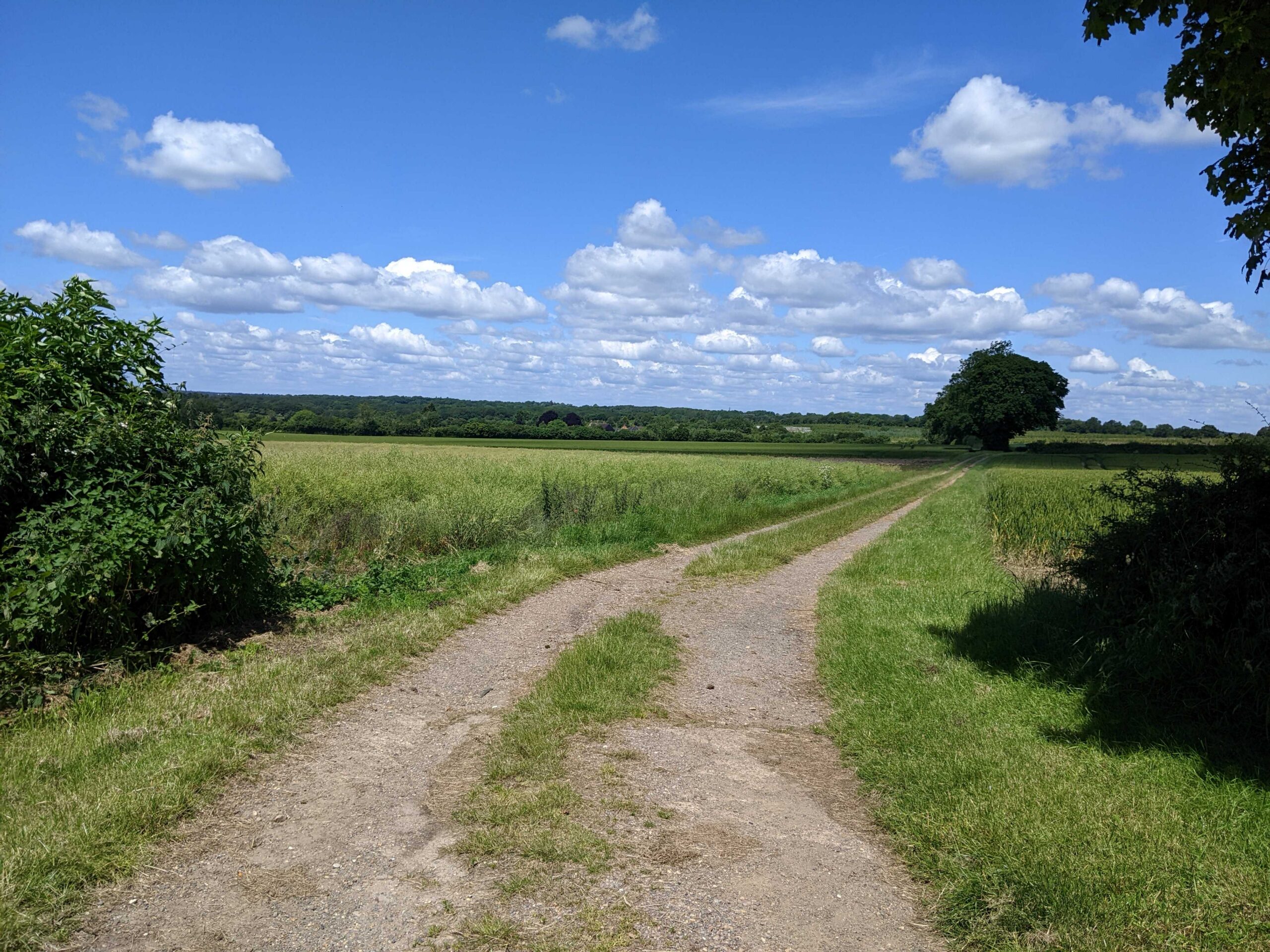 attractive countryside with long views, trees and a blue sky